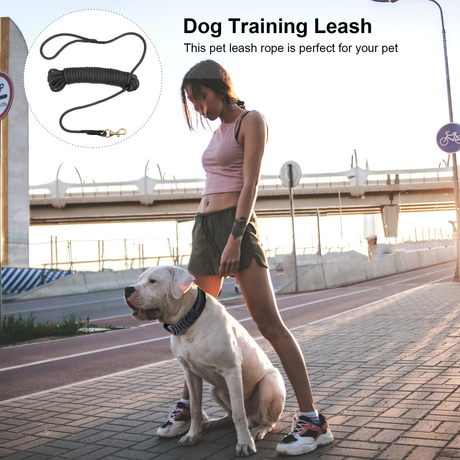 Correa de Entrenamiento para Perros Grandes, Cuerda Resistente Negra de 10 Metros, Correa para Mascotas para Adiestramiento y Paseos al Aire Libre