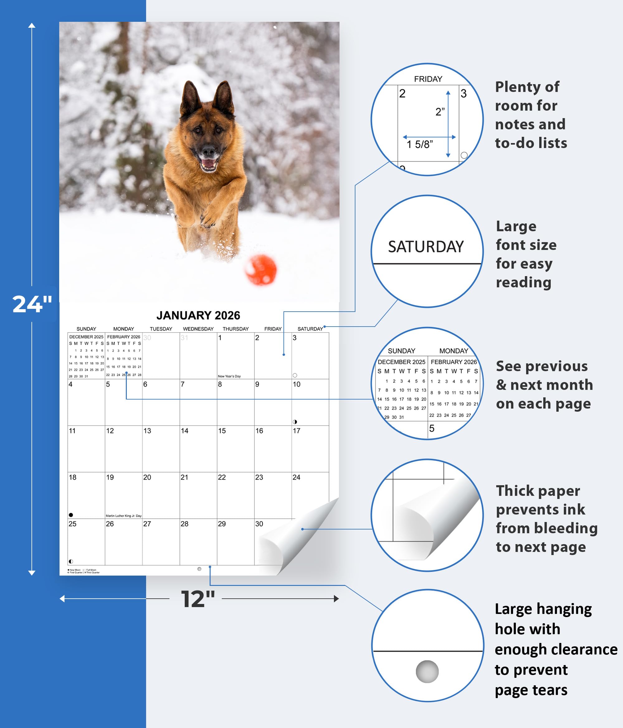 2025 German Shepherds Monthly Wall Calendar - Image 3