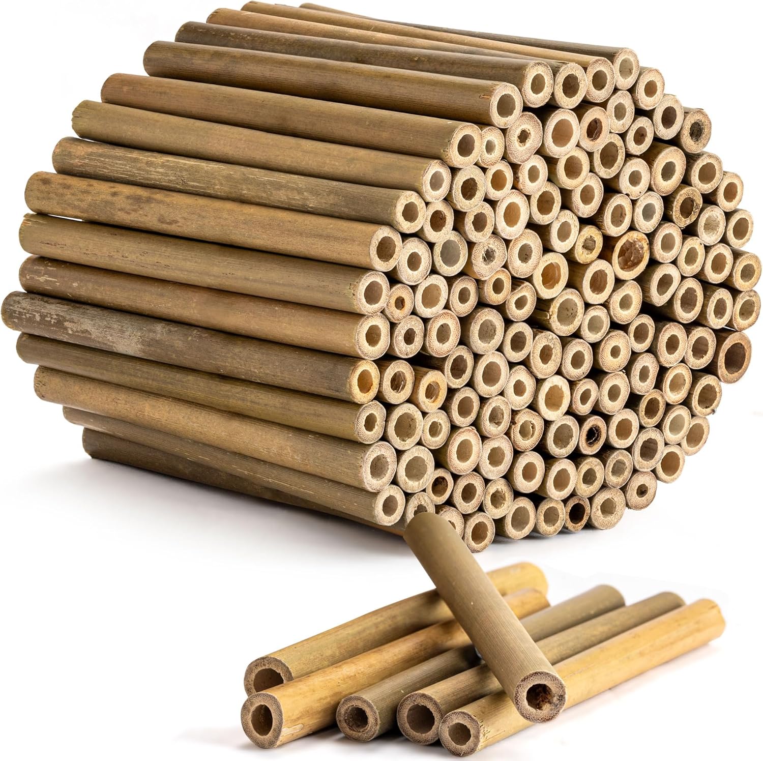 Rivajam 125 Bamboo Craft Sticks & Mason Bee Tubes - Natural Reed Straws for DIY Bee Houses, Pollinator Gardens & Crafts