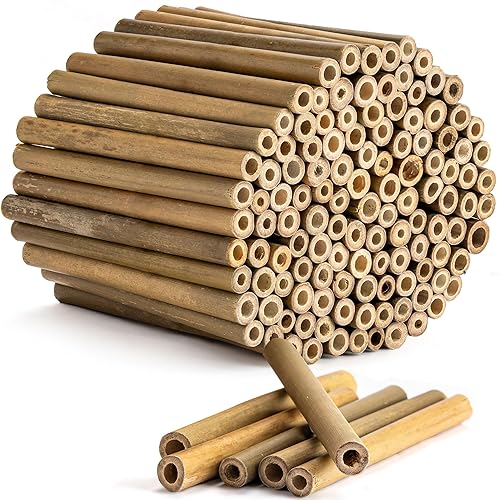Rivajam 125 Bamboo Sticks for Crafts Supplies | Bamboo Craft