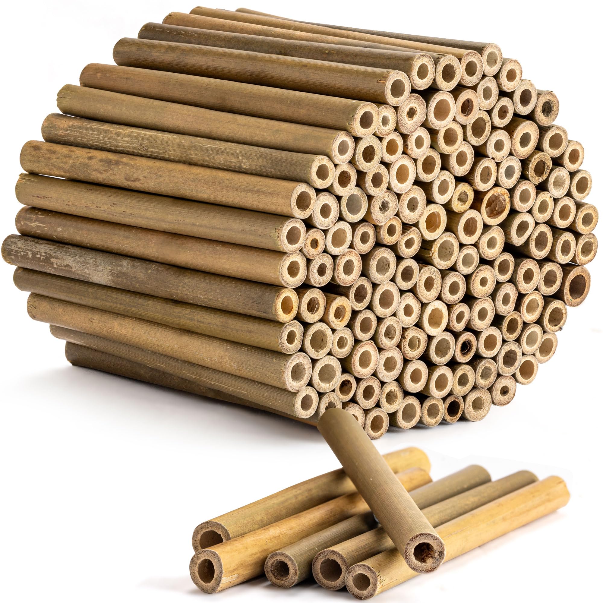 Rivajam 125 Bamboo Sticks for Crafts Supplies | Bamboo Craft Sticks & Mason Bee Tubes for Mason Bee House | Bamboo Reed Mason Bee Straws for Solitary Bee Box, Bee Hotel & Pollinator Gardens