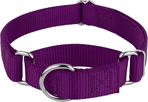 Country Brook Petz Martingale - Collar para perro de nailon de alta resistencia