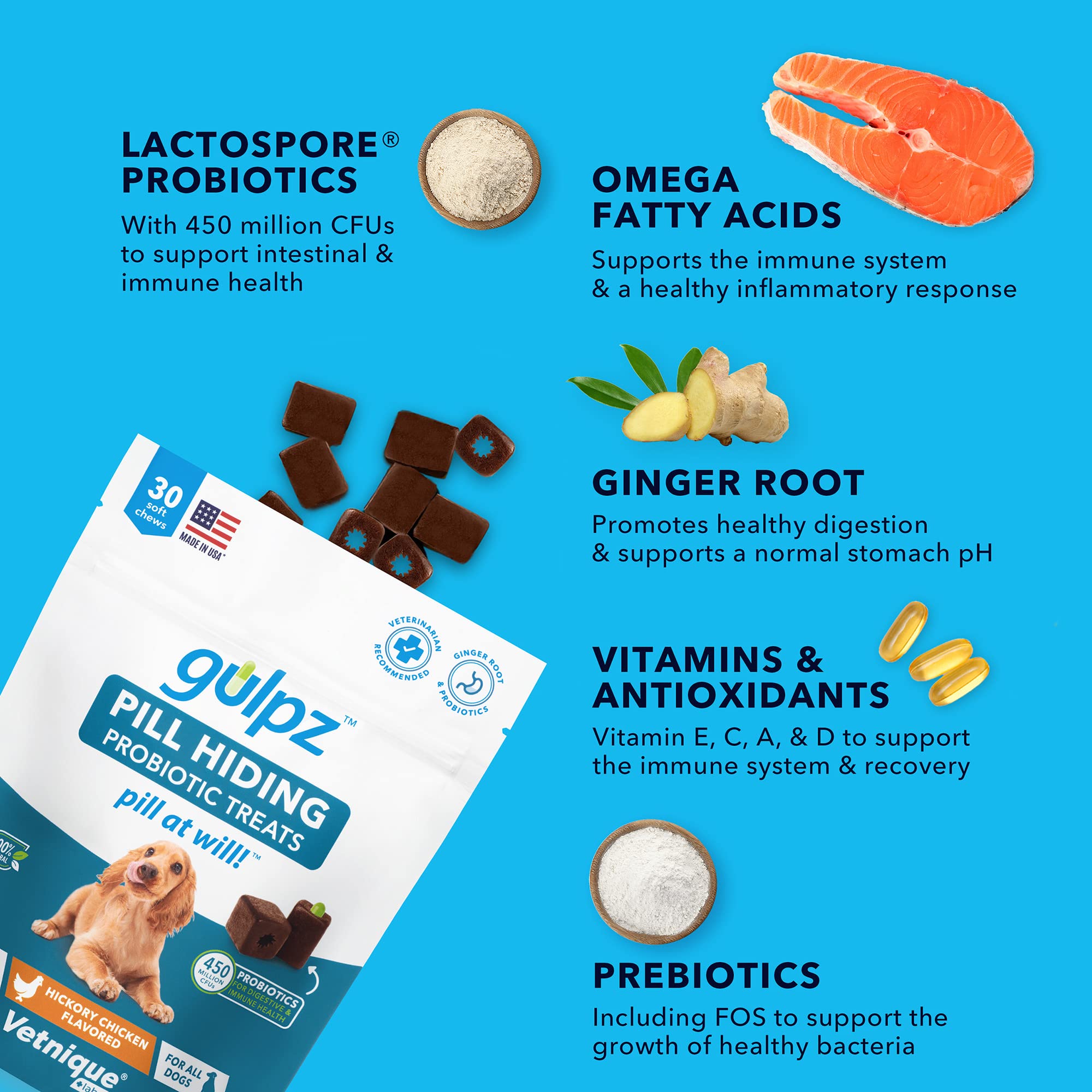 Why Dogs Hide Treats