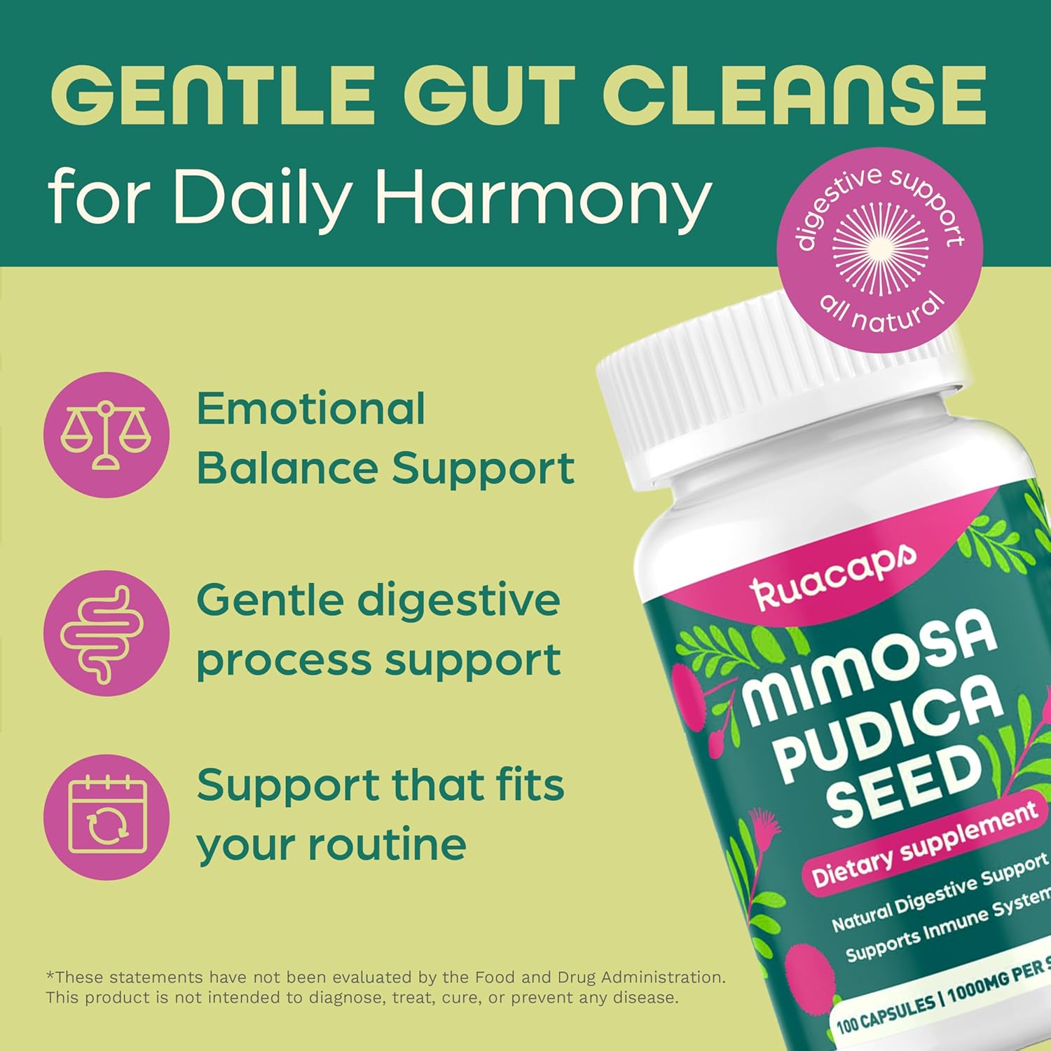 Mimosa Pudica Seed Capsules 1000mg – Natural Digestive Support – Gluten-Free, Non-GMO – 100 Caps – Plant-Based Supplement - Image 4