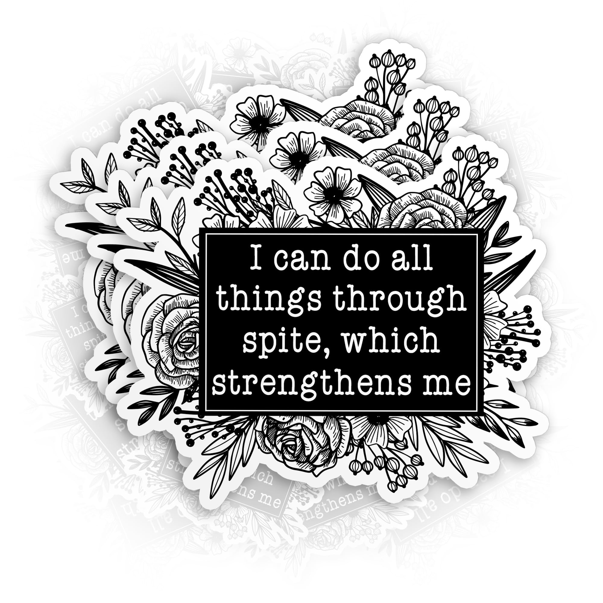 (3Pcs) I Can Do All Things Through Spite Which Strengthens Me Stickers, 2" Snarky Subversive Sarcastic Waterproof Die-Cut Vinyl Sticker for Kindle