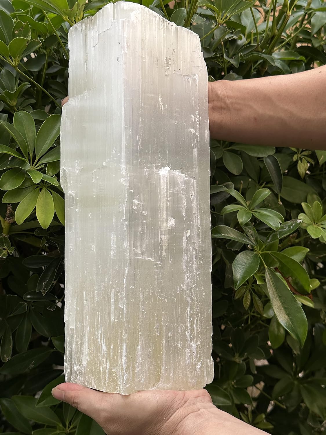 GAF TREASURES Jumbo Selenite Log, Natural White Crystal Huge Selenite Log, Giant Raw Selenite, Rough Raw Crystal Bar, Healing Crystals (18-21 lbs)