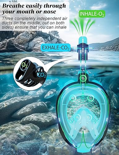 Miniatura 2 de WSTOO Full Face Snorkel Mask, Dry Top Snorkeling Gear for Adults, 180° Panoramic Foldable Design with Camera Mount, Safe Mouth/Nose Breathing,