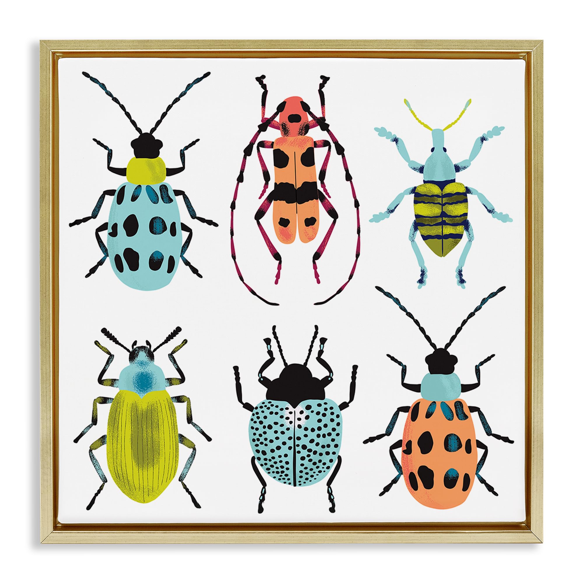 Stupell Industries Metallic Gold (Matte) 'Beetles & Bugs Collection'| Floating Frame Canvas Art