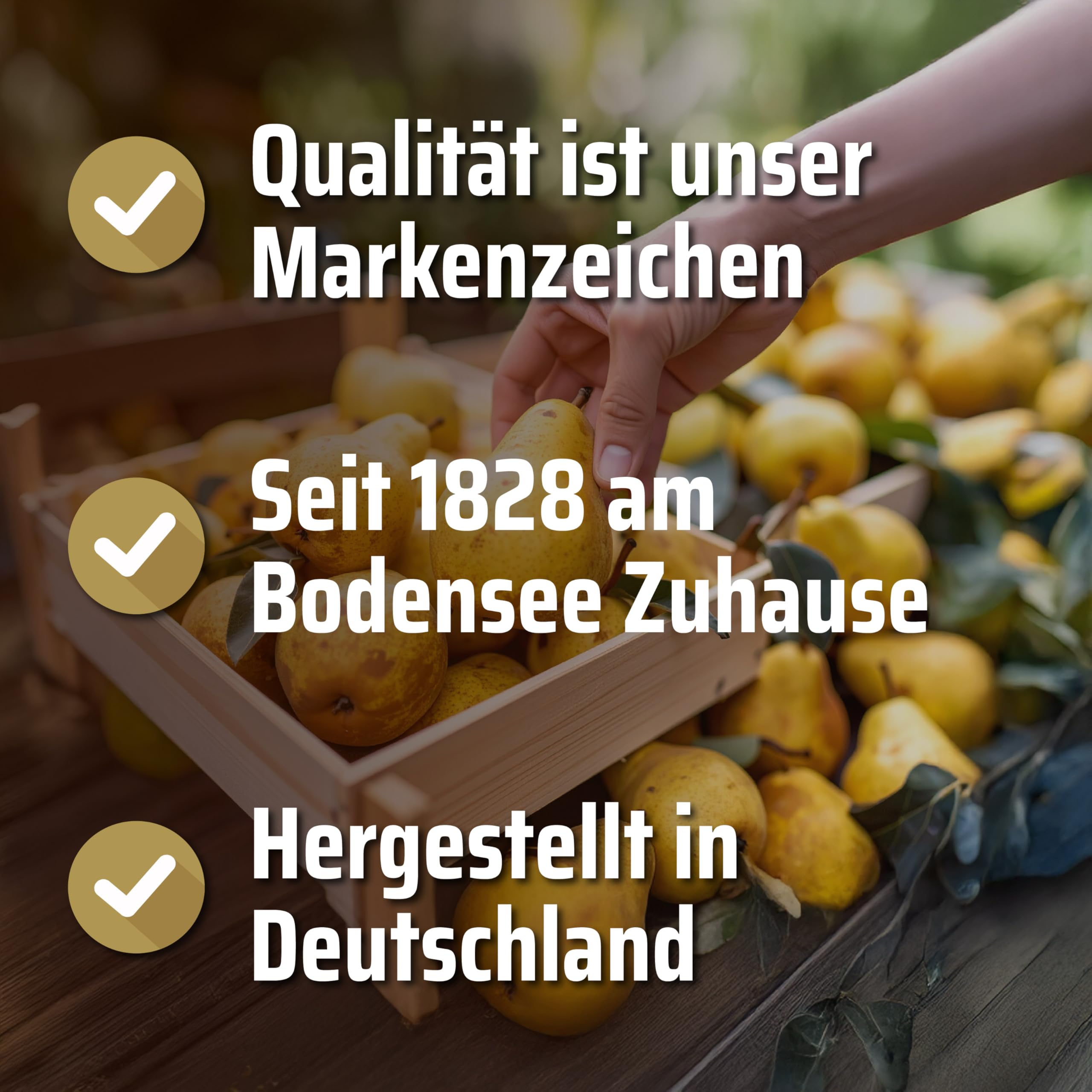 Steinhauser Bodensee Alter Williams 500ml 40% vol. | im Maulbeerfass gereifter Williams Birnenbrand | Rarität vom Bodensee