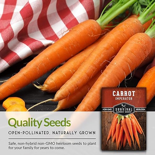 Miniatura 3 de Imperator 58 Semillas de zanahoria para plantar, 3 paquetes con instrucciones para plantar y cultivar zanahorias Danvers galardonadas en tu huerto