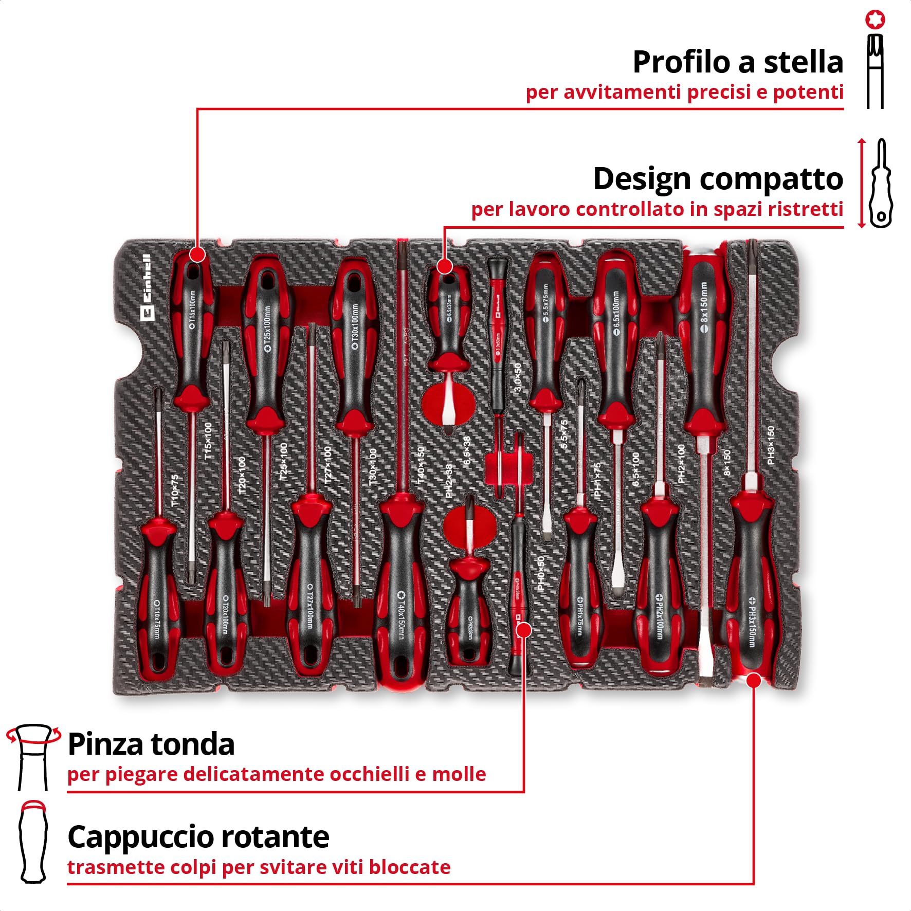 Einhell E-Case inserto portautensili 17 pezzi set di cacciaviti | Cacciaviti per carburatore | meccanica di precisione | calotta di battuta | profilo Torx | acciaio CrV | sistema E-Case