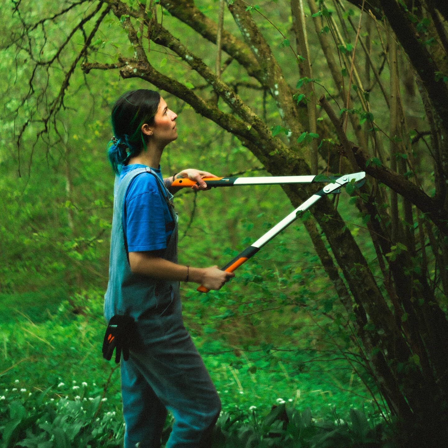 Fiskars PowerGear X Loppers Bypass L LX98, Fresh Wood Cutter with Sharp Blades, Size L, Non-Stick Coating, Cutting Diameter: 5 cm, Hardened Steel, Length: 80 cm, Black/Orange, 1020188