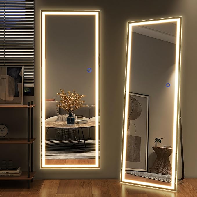 NeuType Full Length Mirror with LED Lights, 63" x 16" LED
