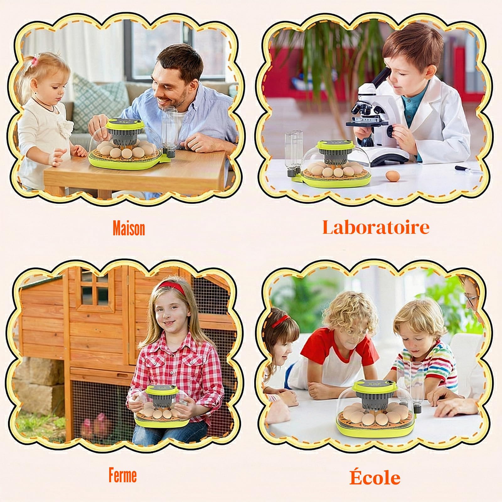 Couveuse Oeuf Automatique 12 Œufs, avec Alimentation en Eau, Retourneur Œufs Automatique, Contrôle Température et Humidité, Testeur Œufs, Vision à 360°, pour Poules, Cailles et Canards (B)