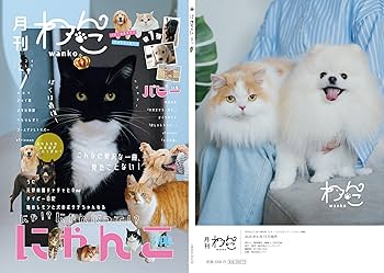 7/6 ねこページ ZX（スリクソン） (特注 納期3-6週)ダンロップ スリクソン ZXiU