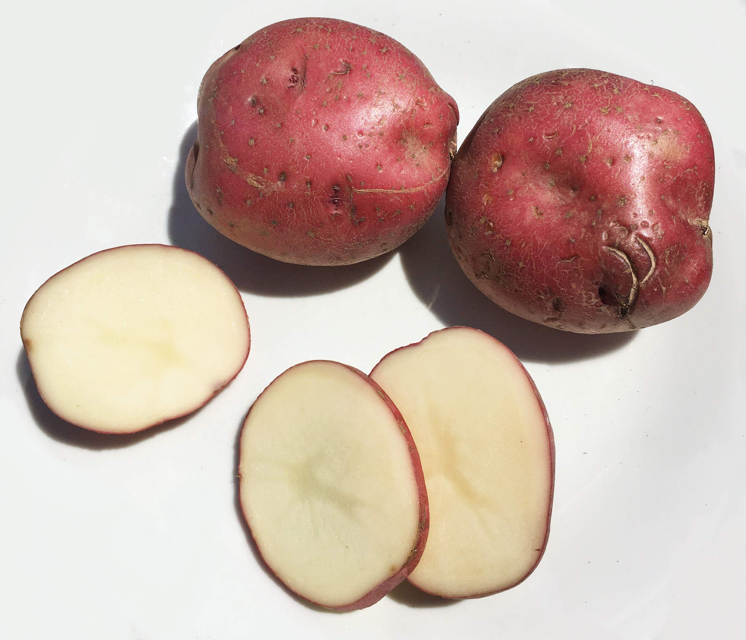 Kejora Fresh Red Potatoes 4LB