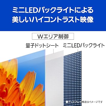 Panasonic TH-65MX950 VIERA 65V Type, 4K Double Tuner, LCD TV, Mini LED Backlight, Quantum Dot, Equipped with Anti-Tip Stand, 2023 LCD Viera Top Model