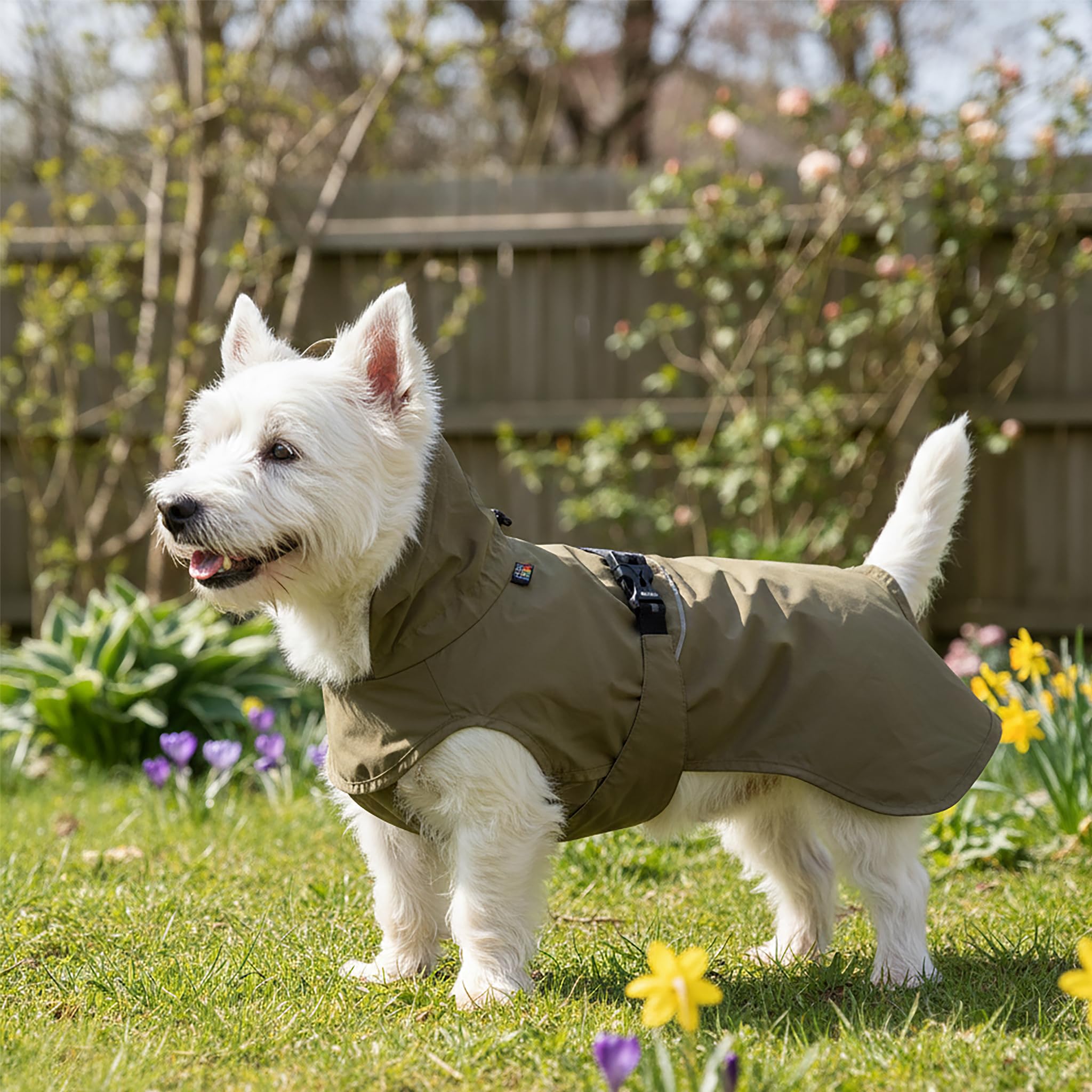 Rukka® Regenmantel Ripple Raincoat - Funktions Regenjacke für den Hund (65.0, Zentimeter)