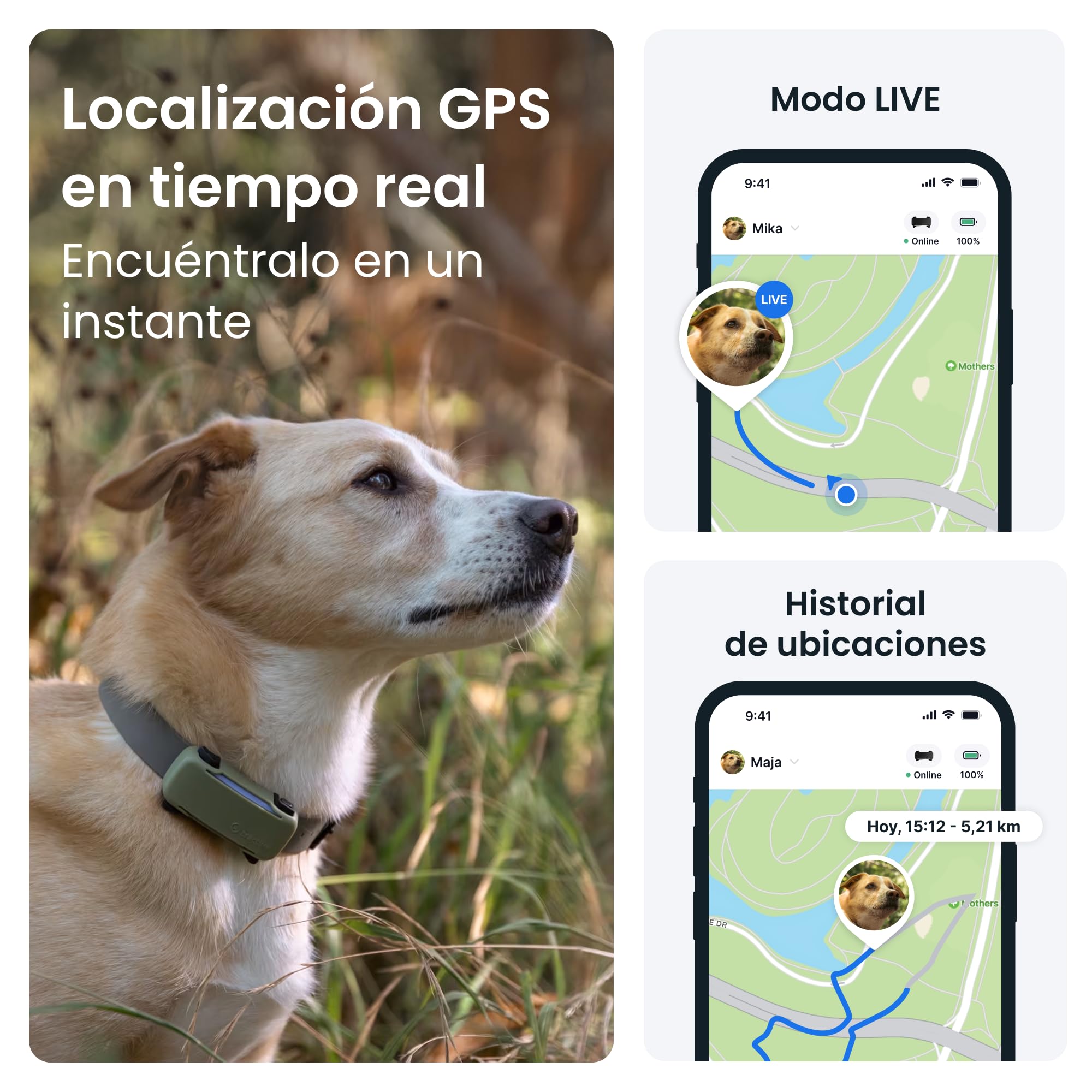 Tractive GPS para Perros Inteligente - Bundle con Funda Verde Oliva | 2025 Edición | Localización GPS en Tiempo Real | Alertas Antifuga y Avisos de Salud | Monitor de Constantes Vitales (Negro)