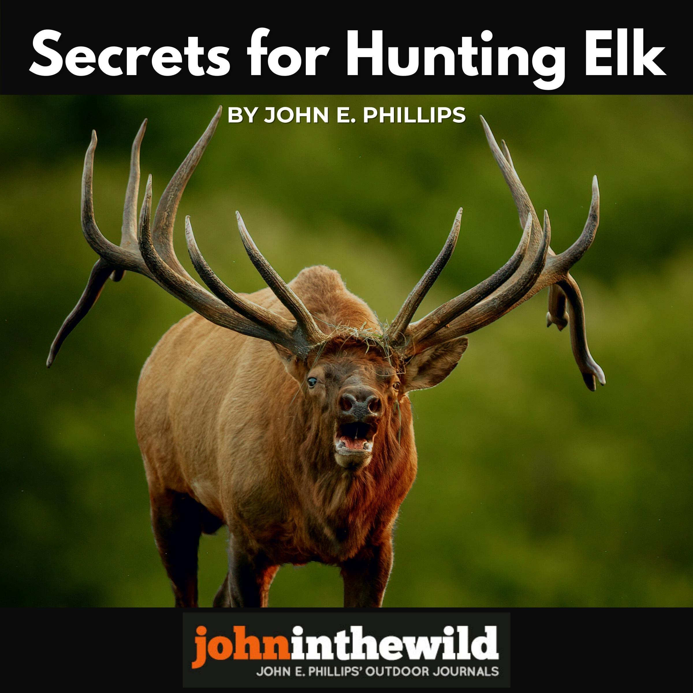 Secrets for Hunting Elk
