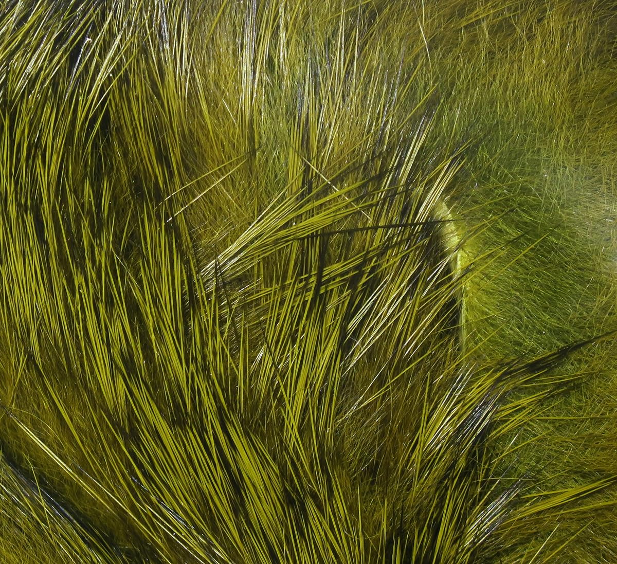 Hareline Fly Tying Magnum Rabbit Strips - Wide Rabbit Fur Strip Material for Streamers, Pike, Musky & Saltwater Flies