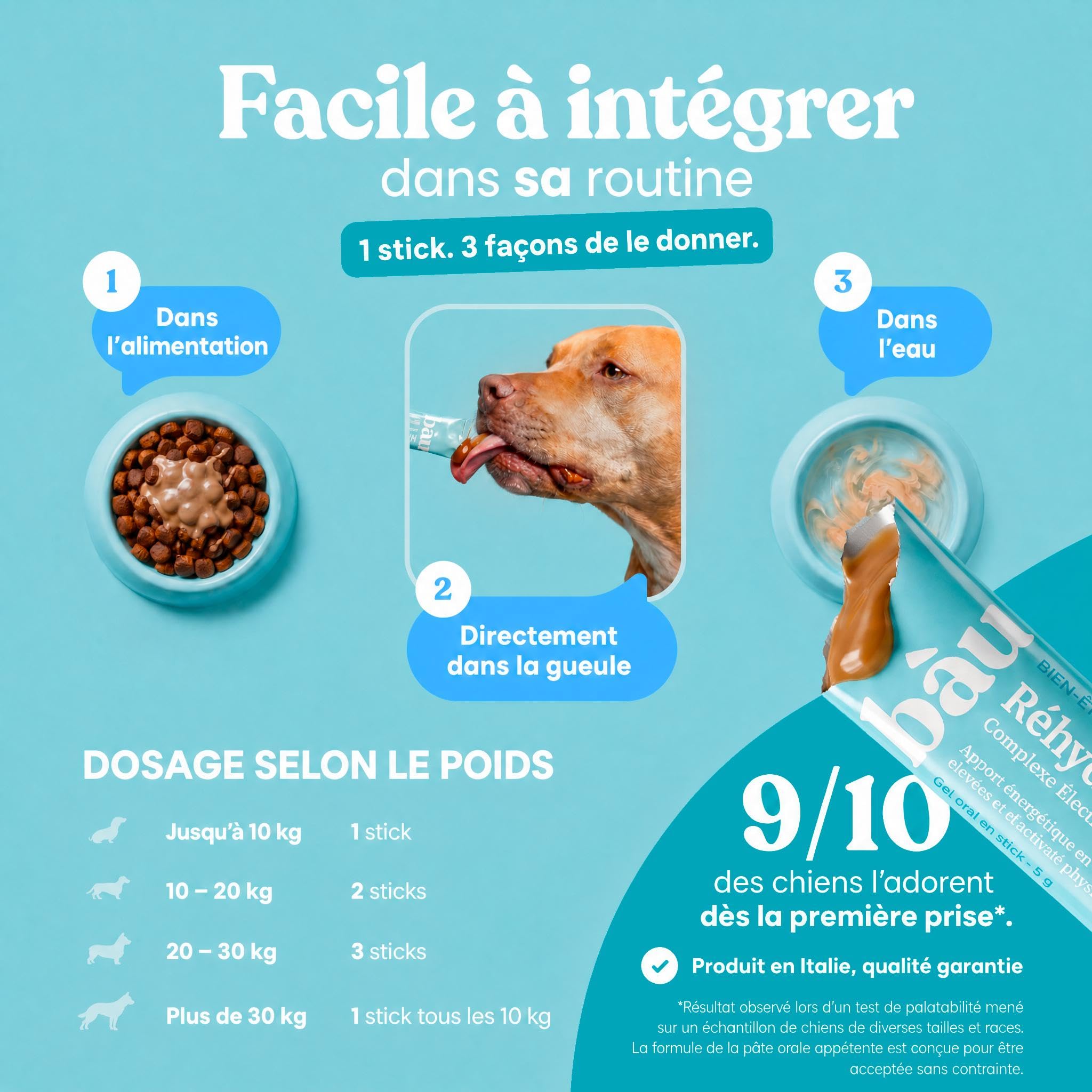 BAU Réhydratant Électrolytique pour Chiens Sportifs – Idéal par Temps Chaud – Gel Énergétique avec Magnésium, Sodium et Potassium – Soutien Pendant l’Activité – Sticks Unidose