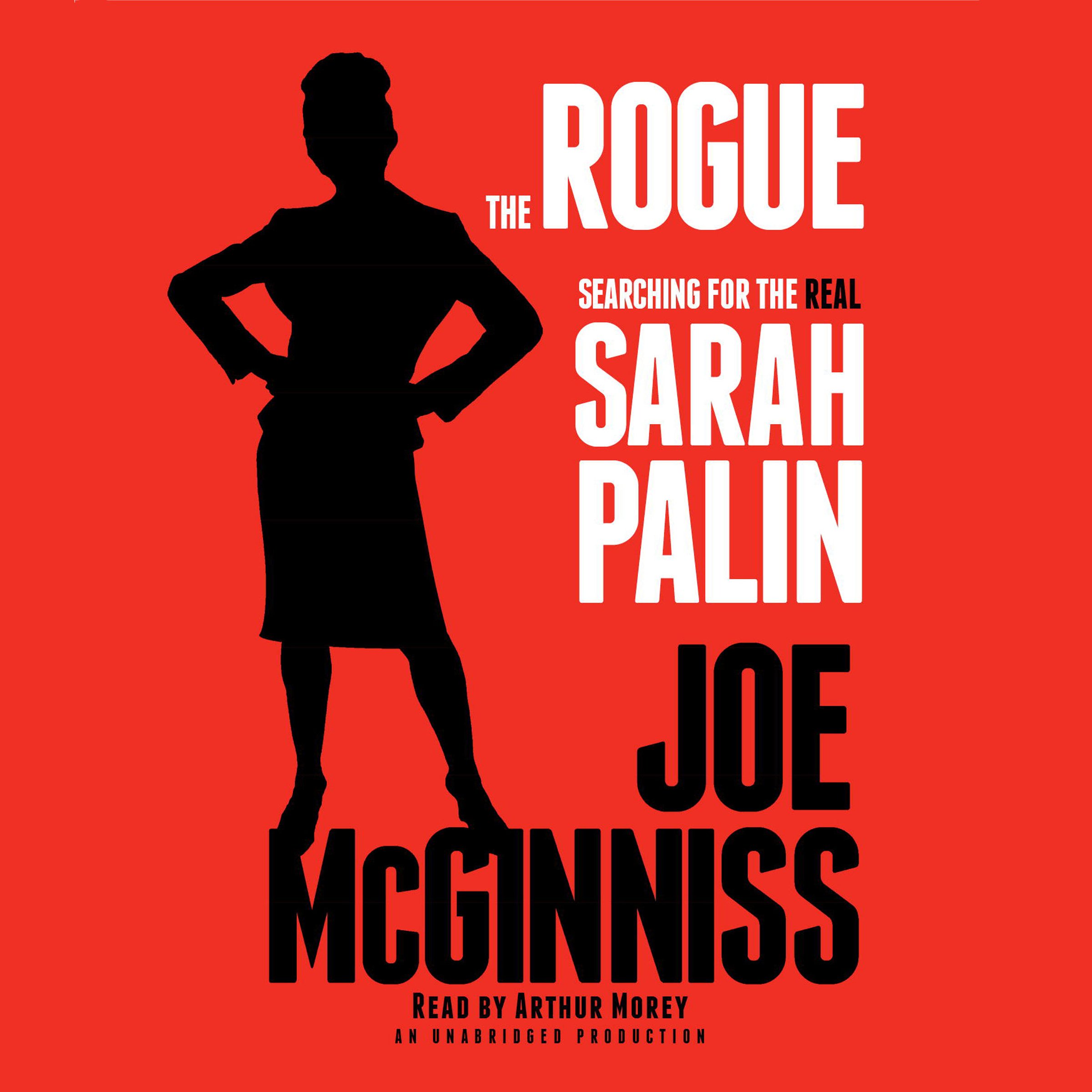 Cover art for The Rogue