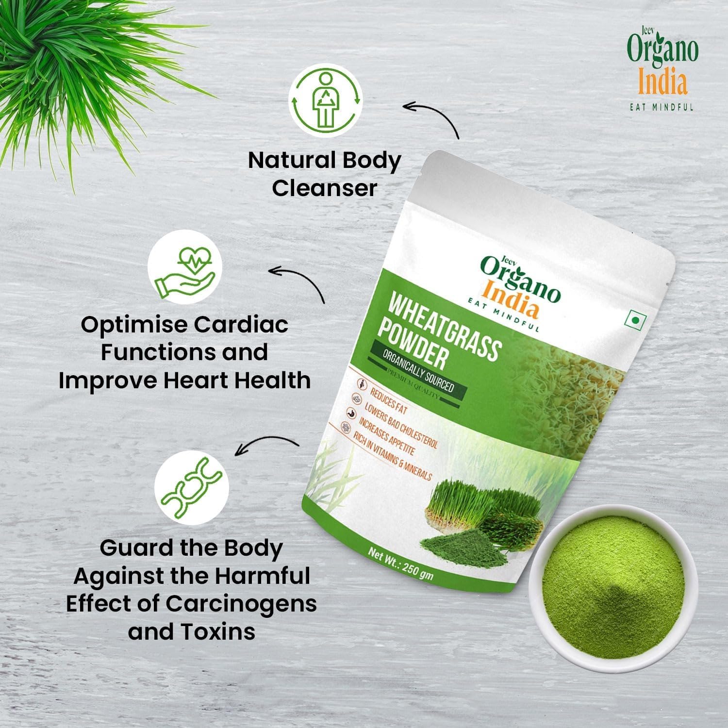 Moringa Leaves Powder | Moringa leaf powder | Immunity Booster | Energy with Minerals | Digestion | Jaljeera Flavour | 250g | Pack of 1 — Amazon image 5
