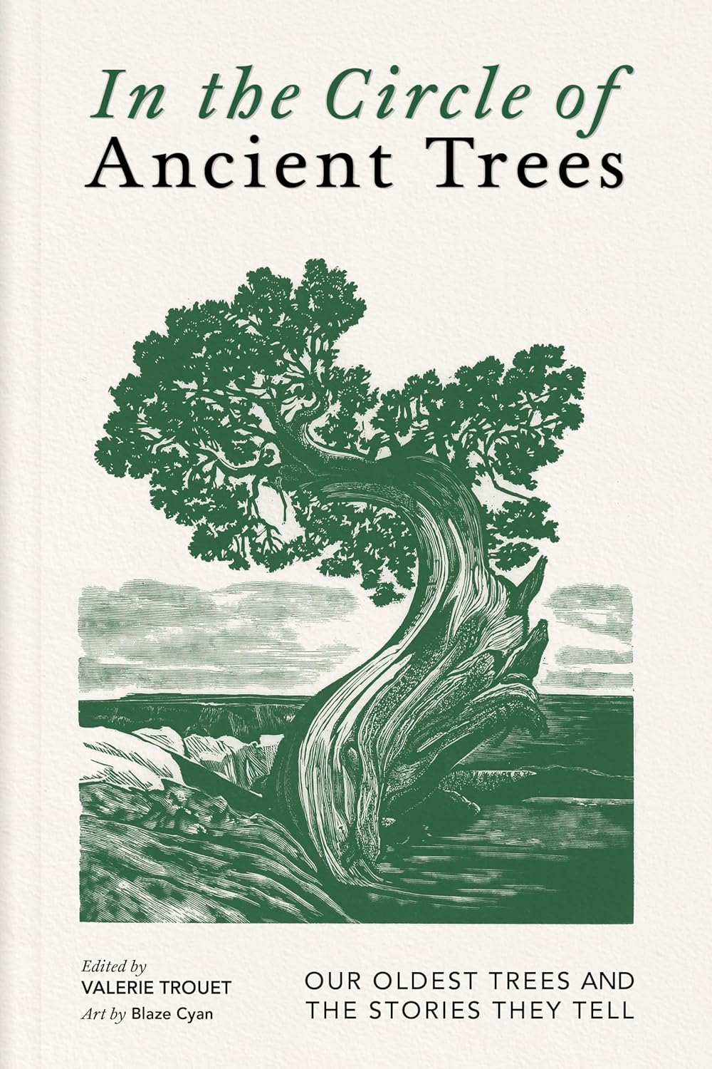 In the Circle of Ancient Trees: Our Oldest Trees and the Stories They Tell      Hardcover – October 14, 2025