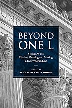 Beyond One L: Stories About Finding Meaning and Making a Difference in Law