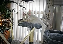 Review Image by margaret moore margaret moore