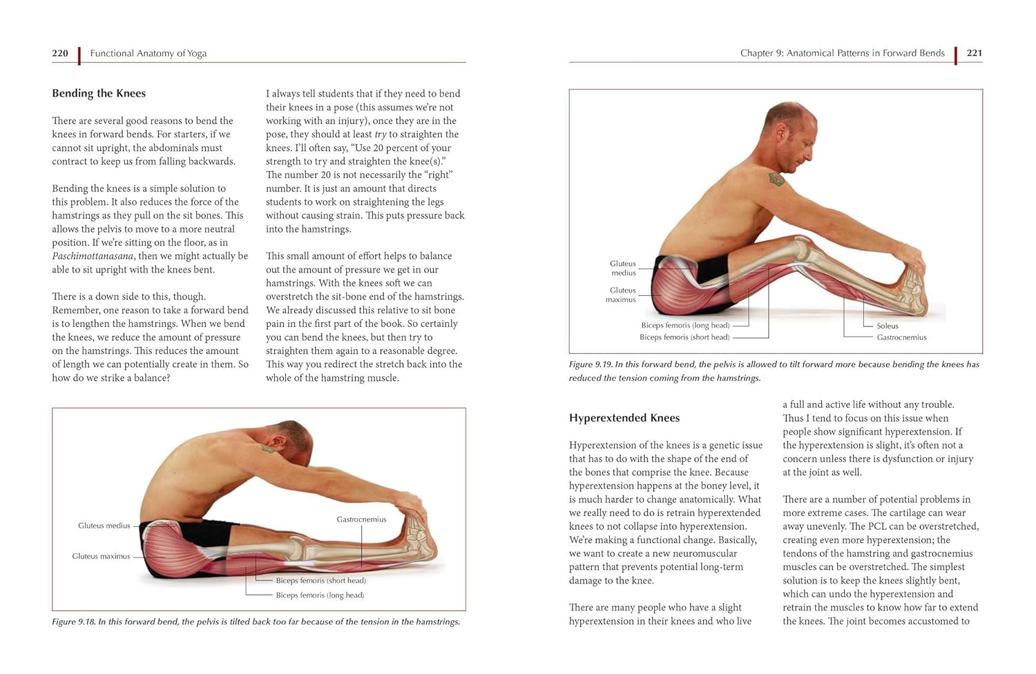 Functional Anatomy of Yoga: A Guide for Practitioners and Teachers - Image 4