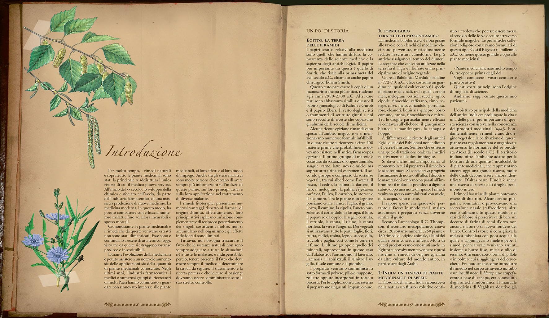 Atlante illustrato delle piante medicinali e curative