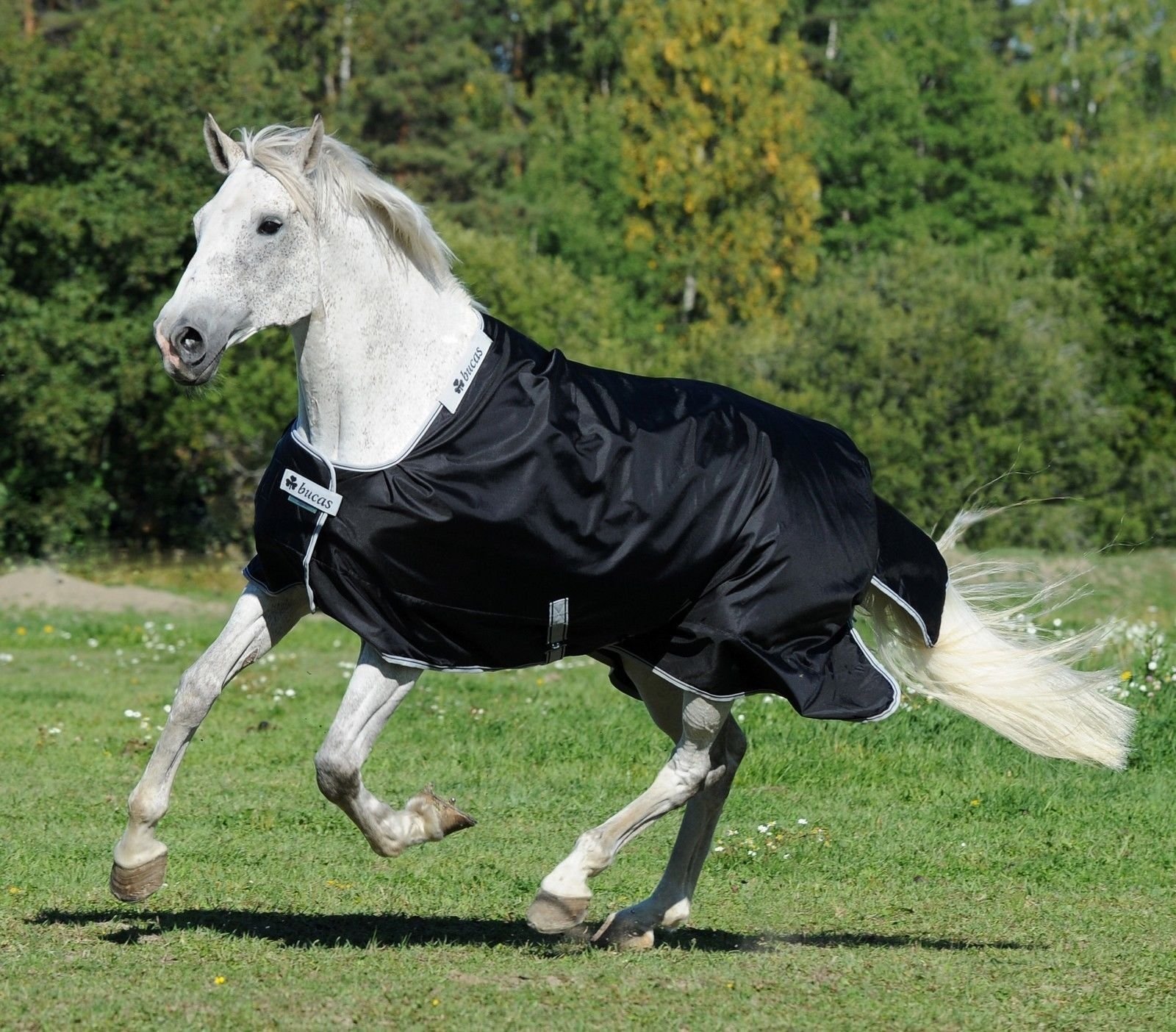 Bucas Pferdedecke Smartex Rain Turnout 125 cm blue