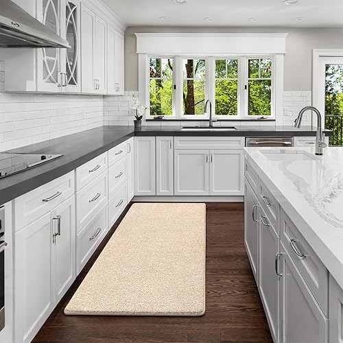 Miniatura 9 de HEBE Tapete para interiores y exteriores, 32 x 48 pulgadas, suave, absorbente, para puerta delantera, de perfil bajo, tapetes de entrada para