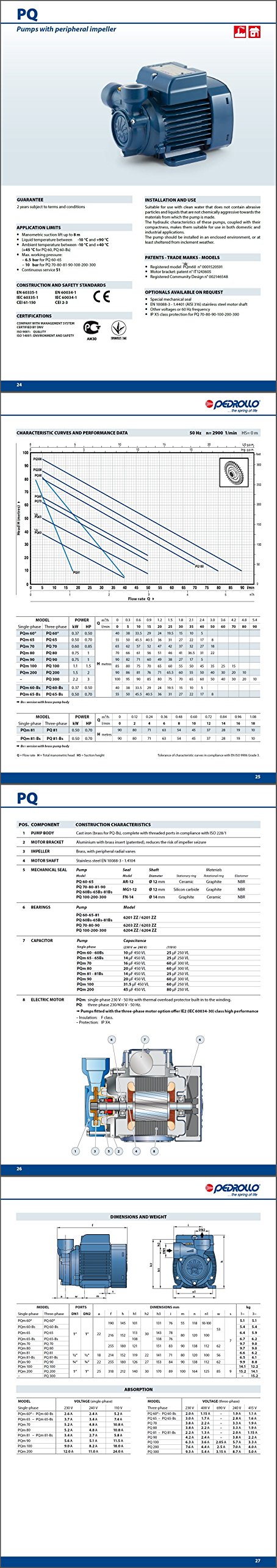 Elettropompa PQ Periferica PQm81-Bs 0,7Hp pompa Ottone 220V Acqua Pedrollo