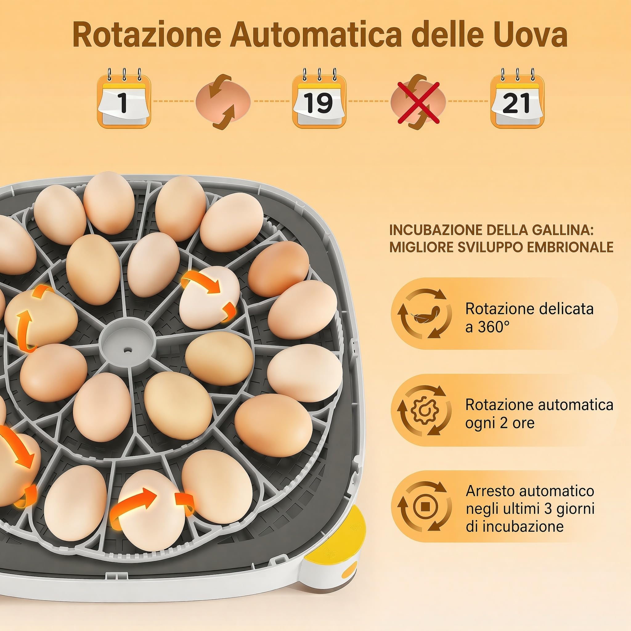 Sailnovo incubatrice automatica per 24 uova, 4 modalità per volatili, con girauova automatico, controllo temperatura e allarme umidità, per uova di gallina, anatra e quaglia (Grigio)