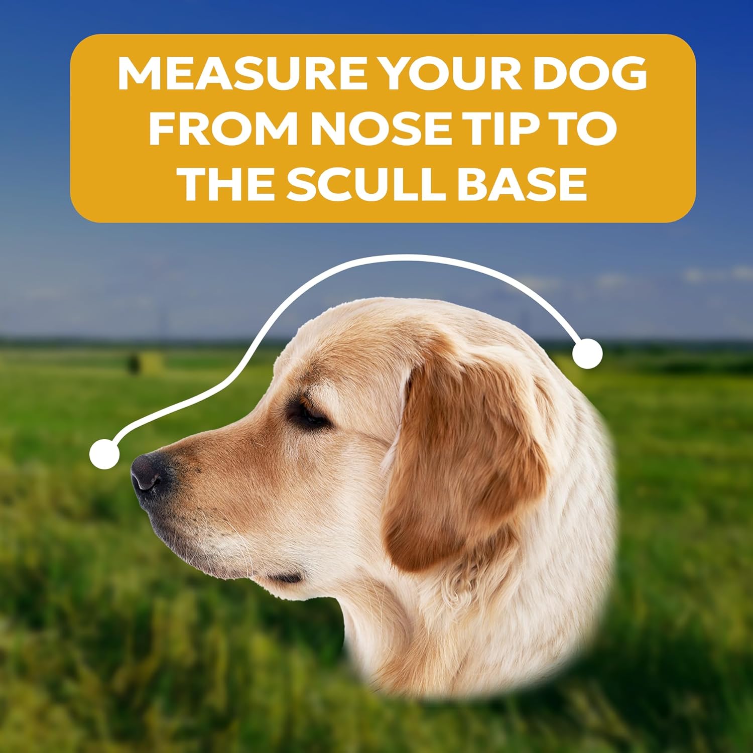 Foxtail Protection Dog mask (Large)