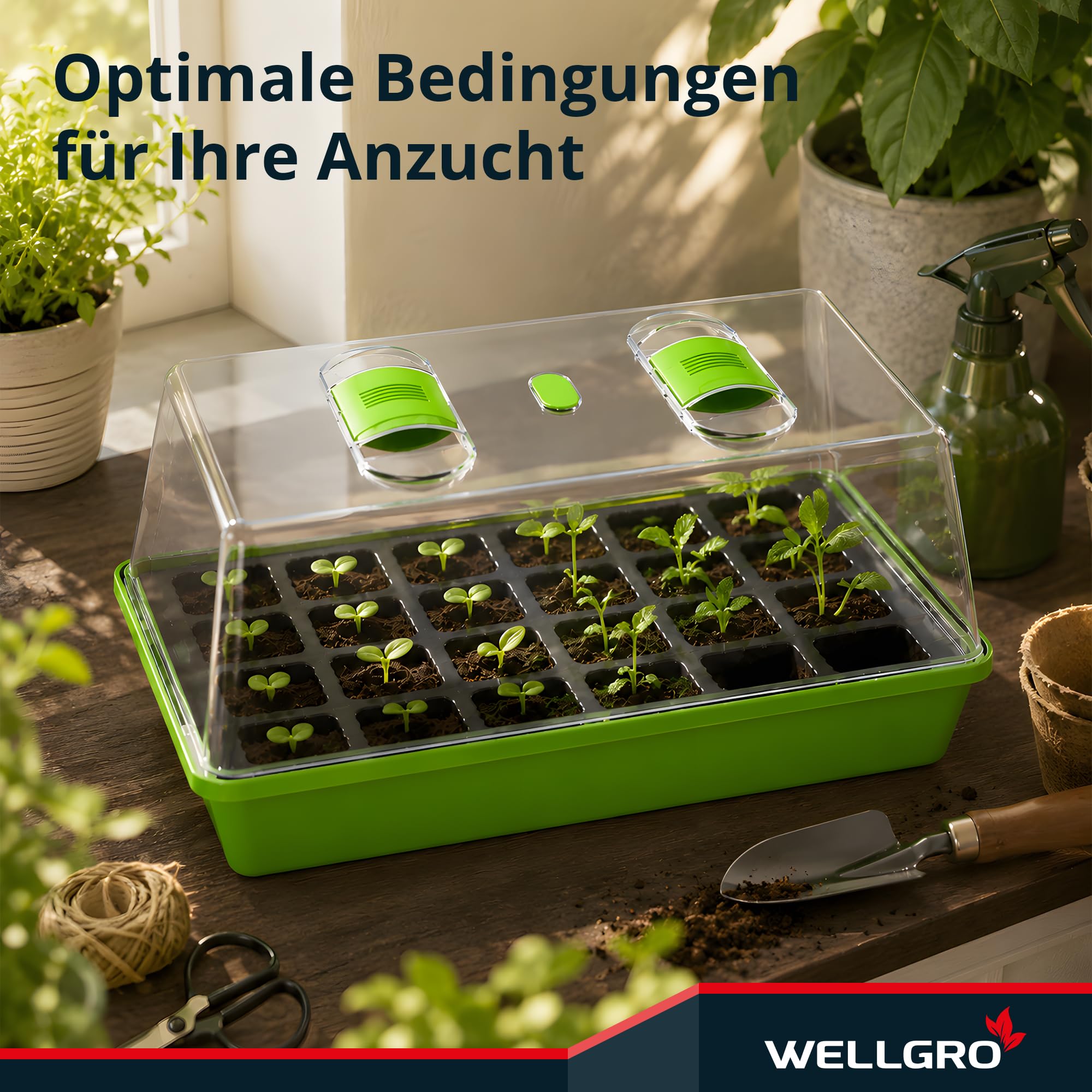 WELLGRO Anzuchtschale - Zimmergewächshaus mit belüftbarer Abdeckhaube und Pflanzschildern - 1, 2 oder 4 Stück - 38 x 24 x 19 cm, Stückzahl:4 Stück