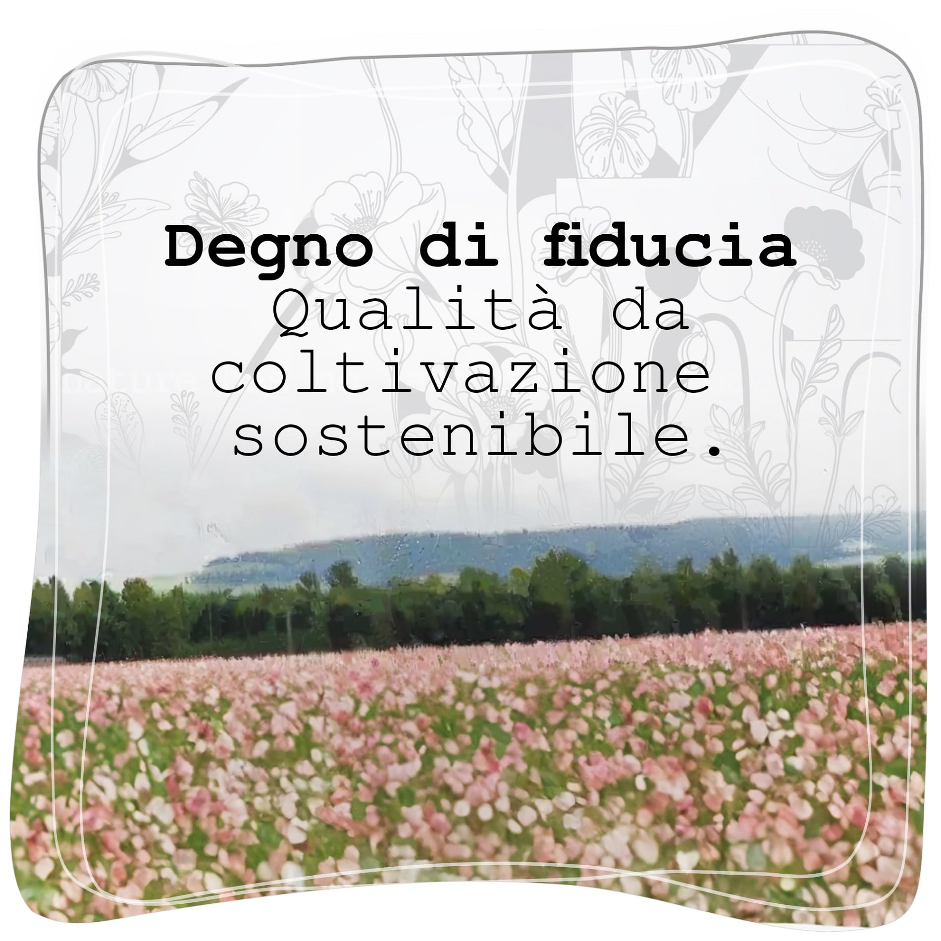 Capsule di Papavero, Poppy Pods | Piccole & Senza Stelo | Essiccate | Materiale per Hobbistica & Decorazioni (200 g)