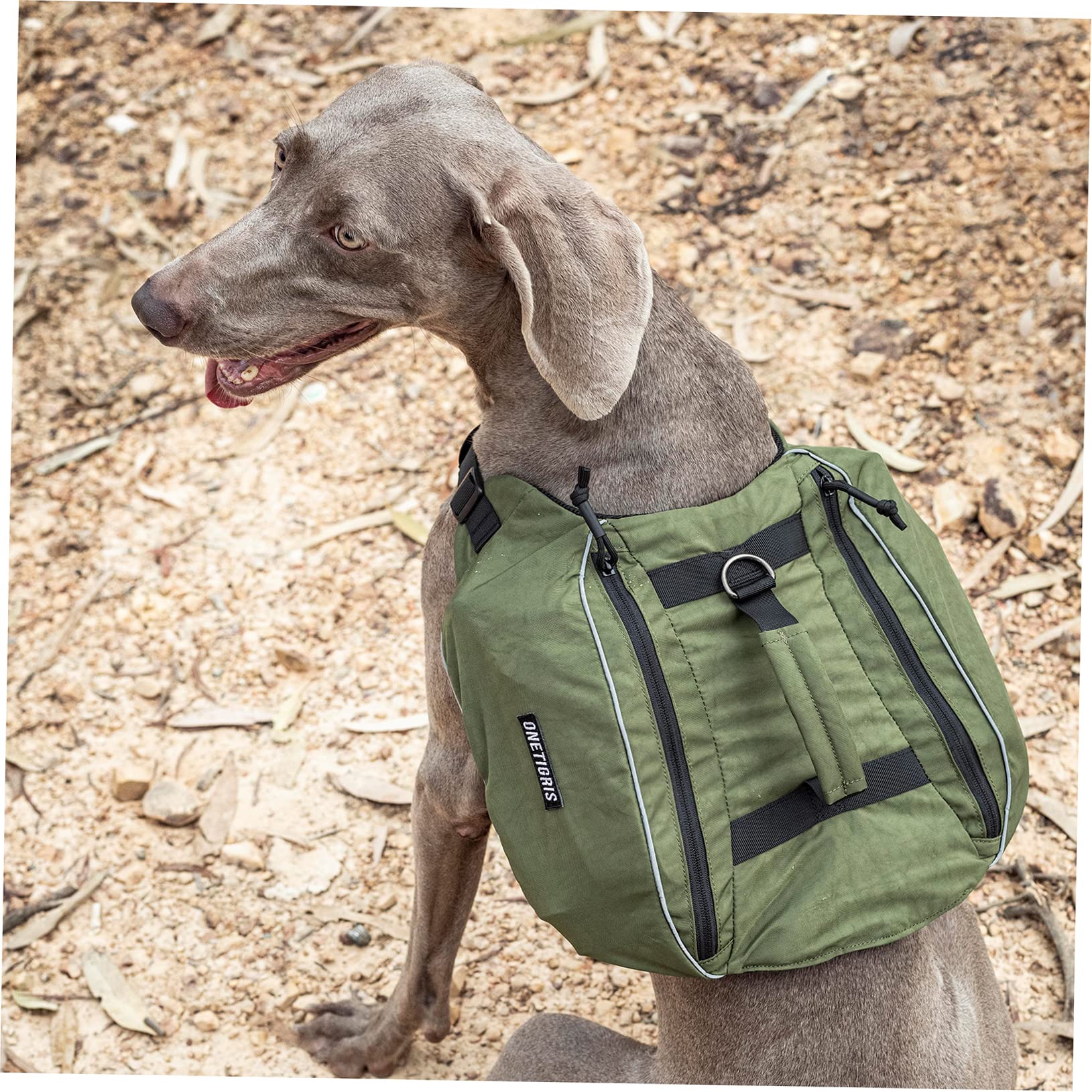 OneTigris CAMELUS Mochila para perros, para camping, senderismo, para perros de tamaño M/L (L, verde Ranger)