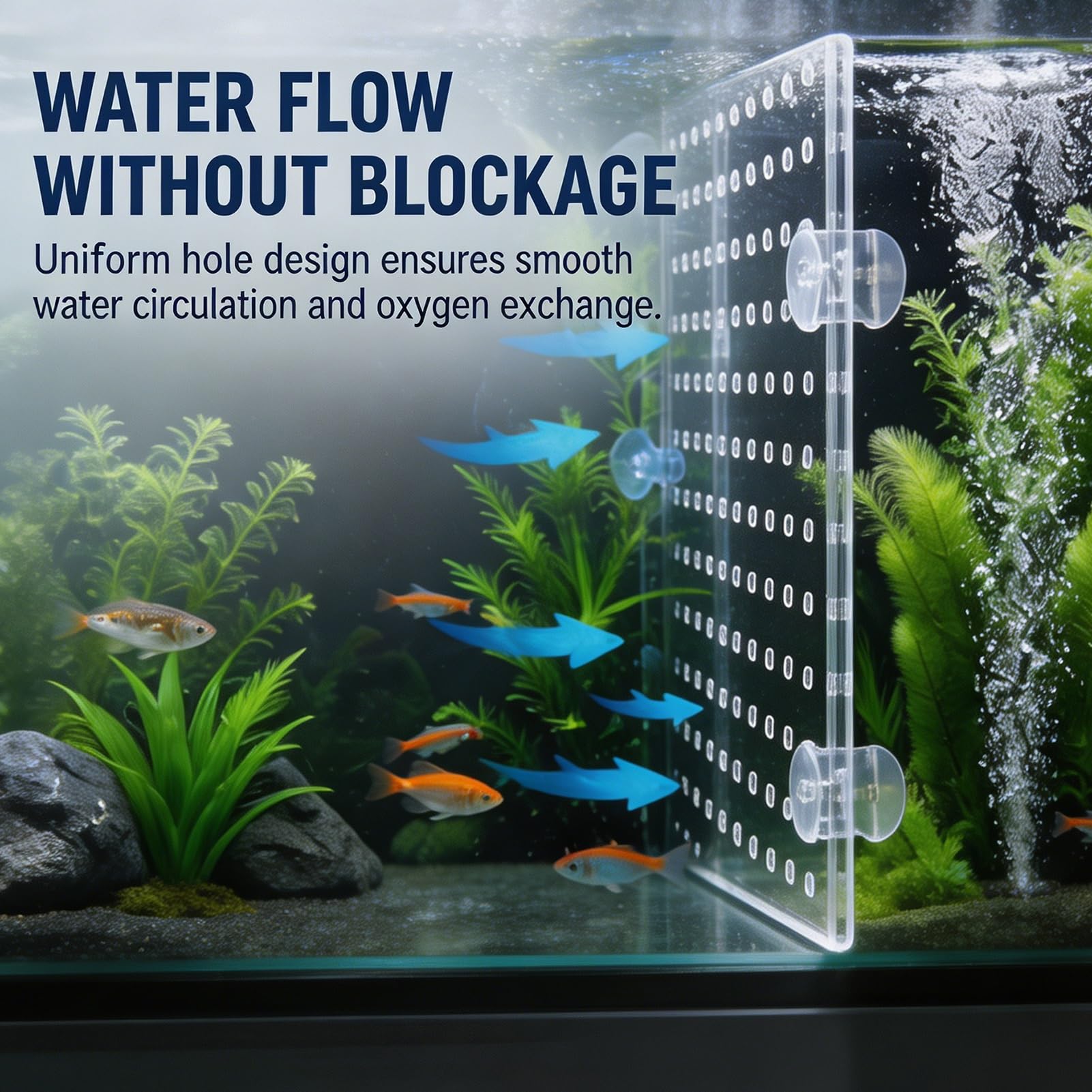 Séparateur D'Aquarium Acrylique Transparent avec Ventouses, Cloison 5mm pour Alevins Et Poissons Blessés(30x40cm)