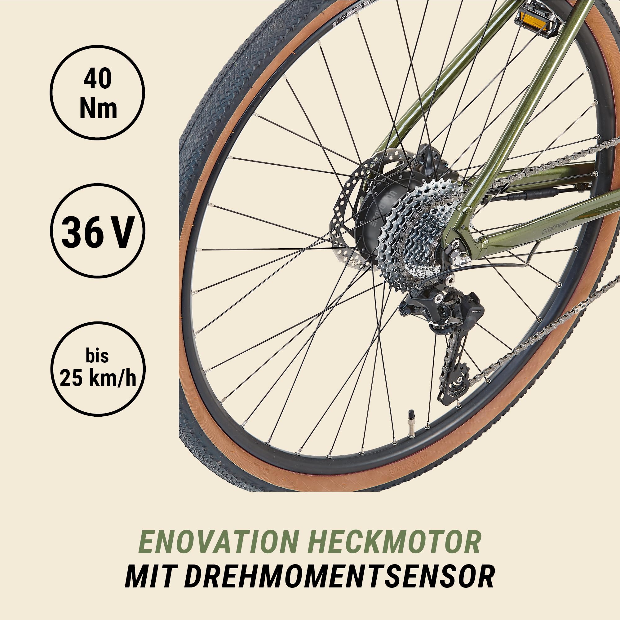 Prophete Graveler 1.0 Gravel E-Bike Diamant 28 Zoll - 360 Wh - Integrierter Akku - Heckmotor AEG - 10-Gang Kettenschaltung - HDY. Scheibenbremse - Rahemnhöhe 53 cm