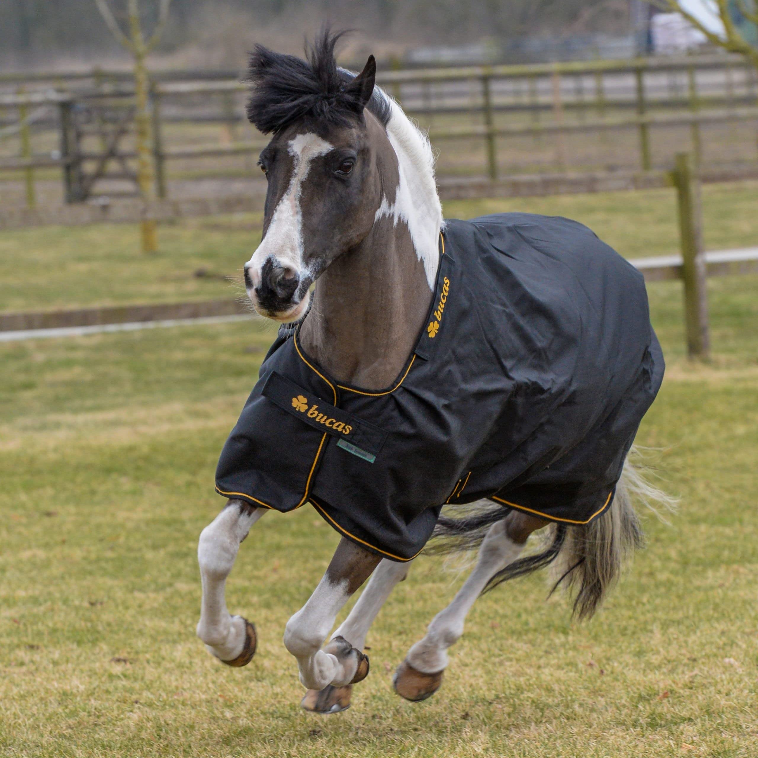 Bucas IrishTurnout - Coperta per cavallo, extra 300 g, 130 SW/Gold