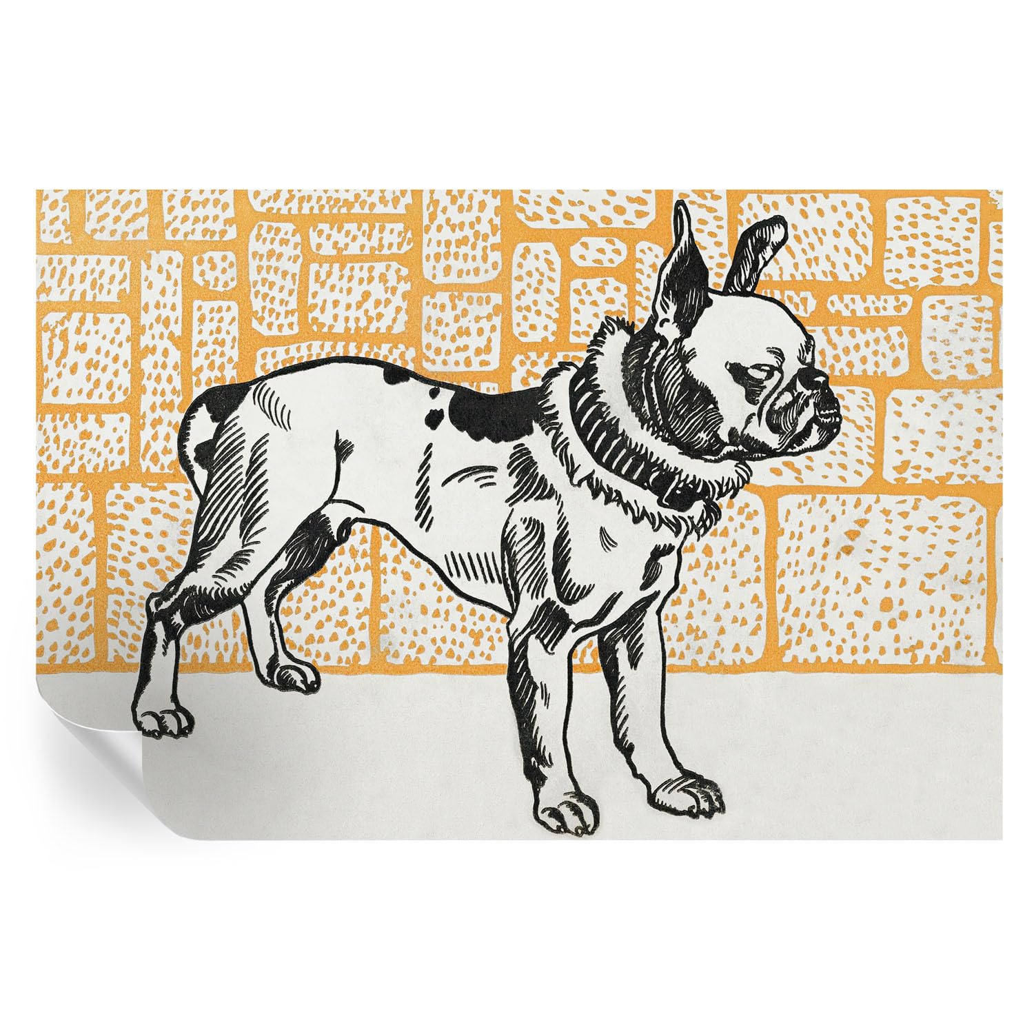 Cubiertas de pared autoadhesivas perro retro para tapar imperfecciones