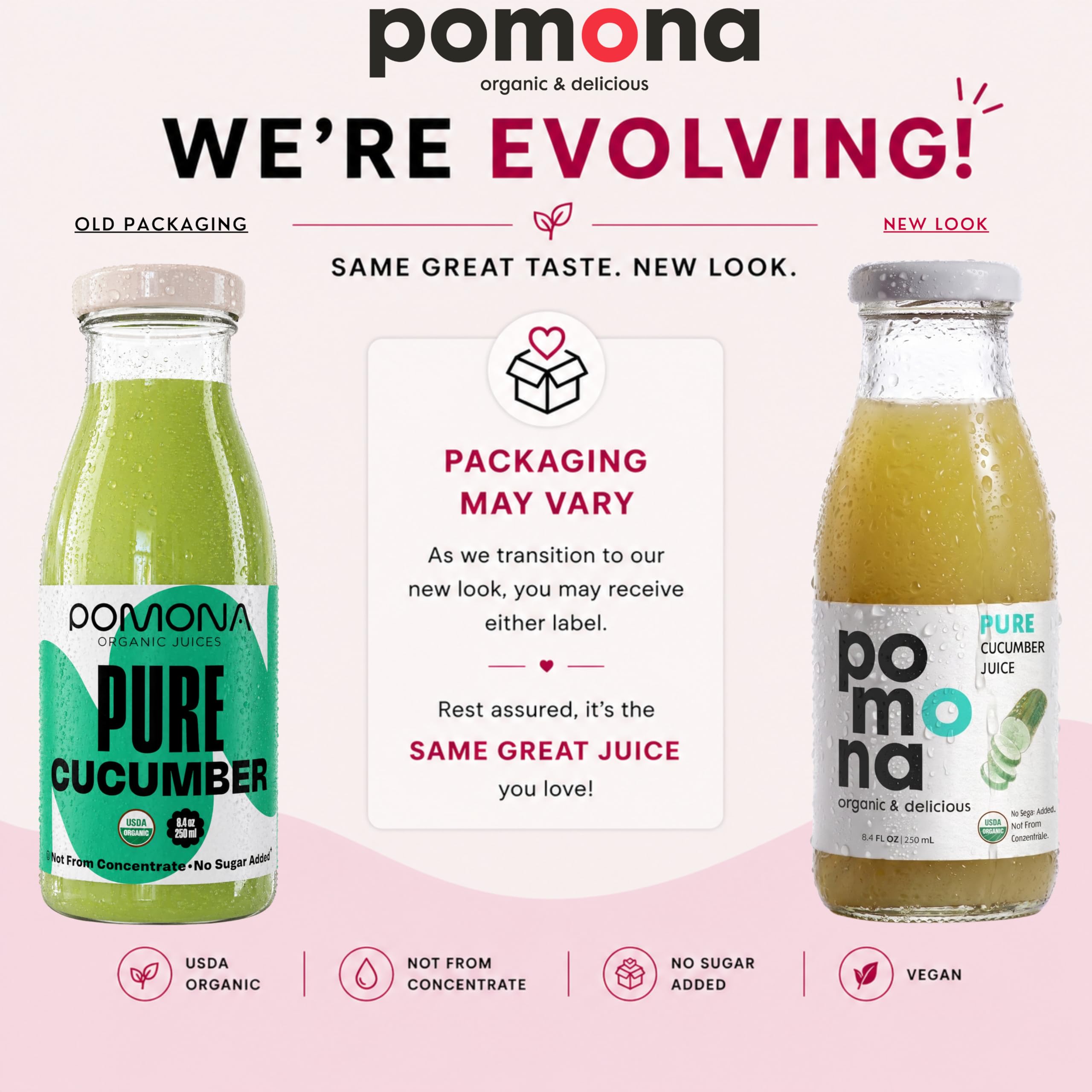 Amazon.com : Pomona Organic Juices Pure Cucumber Juice, 8.4 Ounce