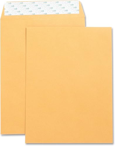 Business Source Sobres para catálogo de formularios, 9 x 12 pulgadas (42120)