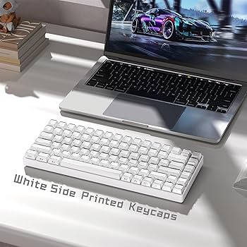 Amazon.com: Womier Keycaps - Jelly Keycaps White 60 65 75