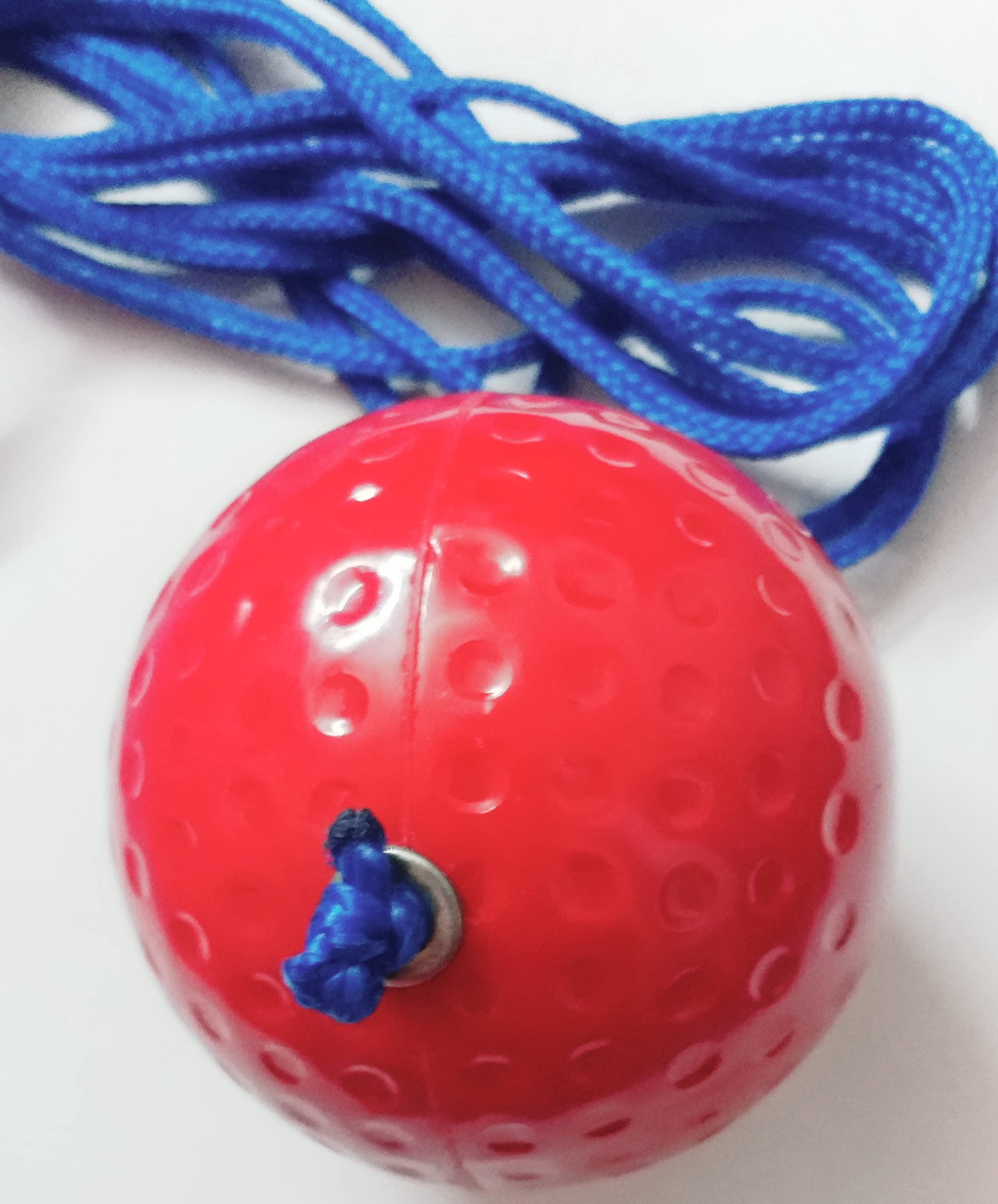 PVC Hard Cricket Practice and Hanging Ball (2) (B0BKTKCPL3) Amazon Price History, Amazon Price Tracker