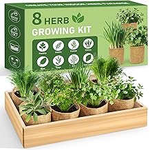 8 Herb Indoor Garden Kit for Beginners - Complete Windowsill Growing Gifts Set with Tools, Unique Christmas Birthday Gardening Gifts for Women, Mom, Men, Teenage Girls,Kitchen, Housewarming
